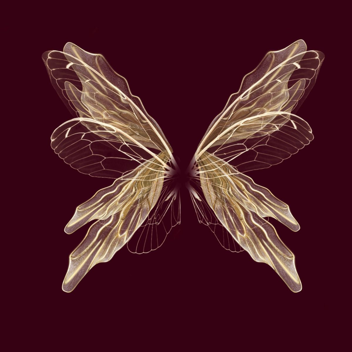 beyond the wings